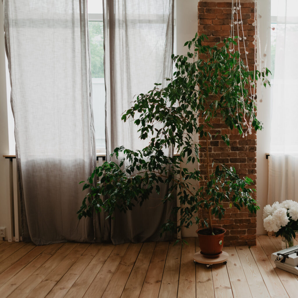 Dekorasyon İçin Hemen Ara