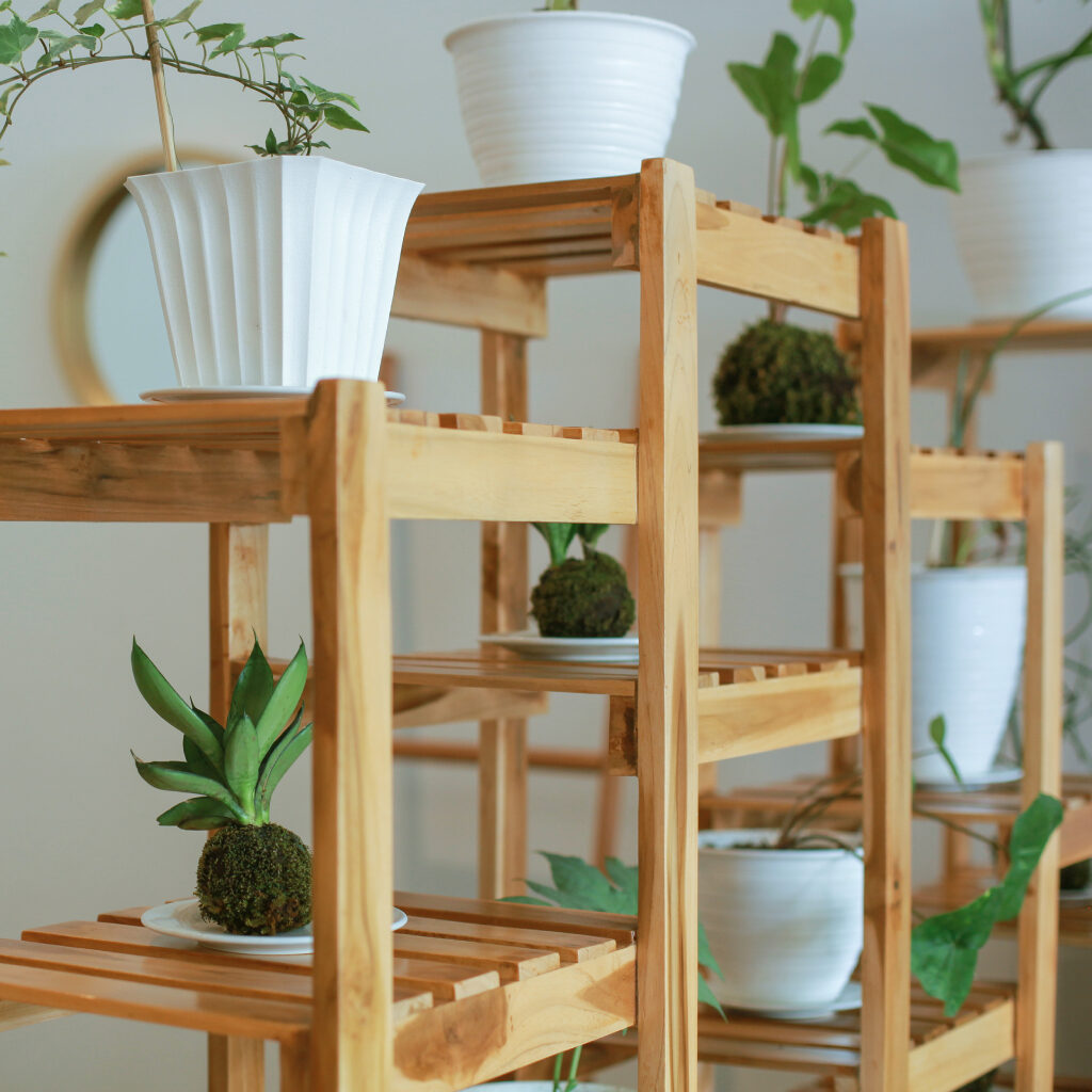 Ev Dekorasyonunda Dikkat Edilmesi Gerekenler