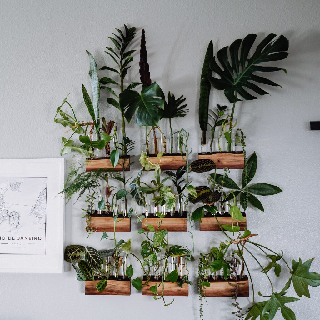 Ev Dekorasyonunda Dikkat Edilmesi Gerekenler